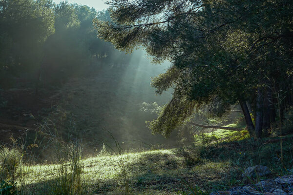 Восход солнца с галопами света в долине Лас-Вегаса, Сьерра-де-Карраско. Мурсия, Испания
