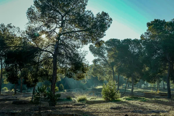 Zonsopkomst Met Halo Van Licht Lost Valley Sierra Carrascoy Murcia — Stockfoto