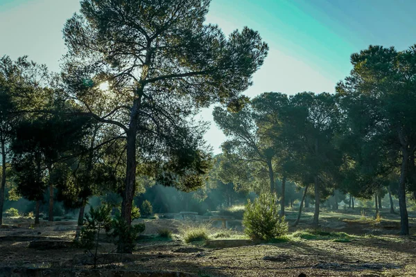 Kayıp Vadi 'deki ışık haleleriyle gün doğumu, Sierra de Carrascoy. Murcia, İspanya