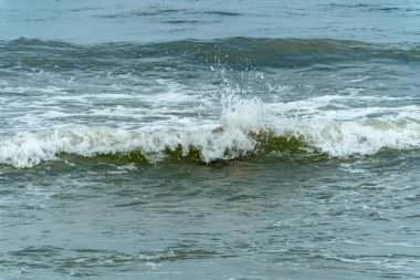 Alicante 'de bir sahilde sörf. İspanya