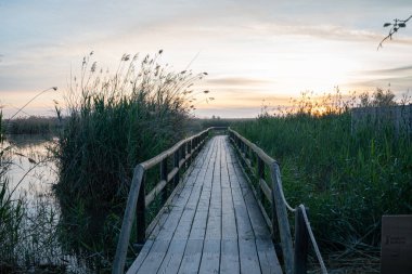 İspanya. El Hondo de Elche doğal parkında ahşap yol. Alicante