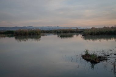 İspanya. El Hondo de Elche doğal parkında gün doğumu. Alicante