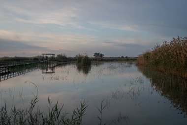 İspanya. El Hondo de Elche doğal parkında gün doğumu. Alicante