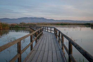 İspanya. El Hondo de Elche doğal parkında ahşap yol. Alicante
