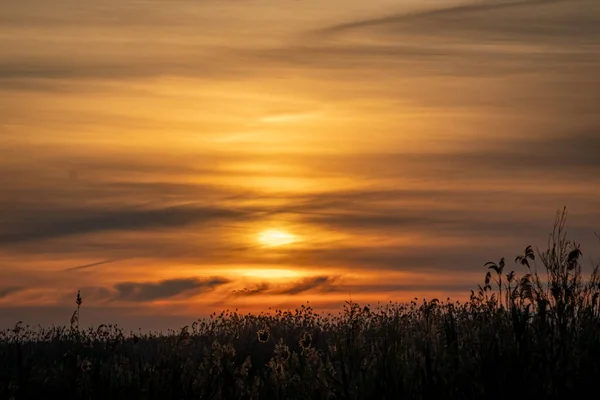 Испании Восход Солнца Природном Парке Hondo Elche Аликанте — стоковое фото