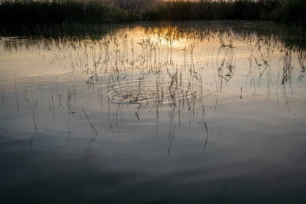 스페인 Hondo Elche Natural Park 해돋이이다 알리칸 — 스톡 사진