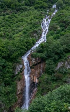 İspanya. Cantabrian Dağlarında Şelale