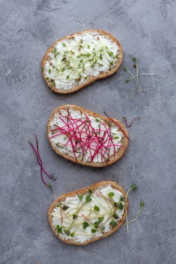 Beton zeminde peynirli sandviçler ve mikro yeşiller.