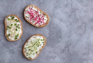 Gri arka planda peynirli sandviçler ve mikroyeşiller.