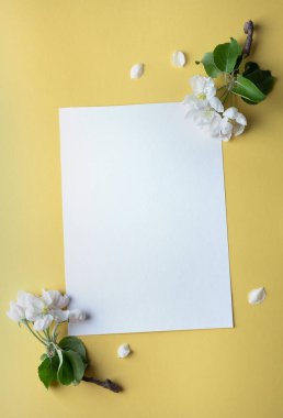 Boş çarşaf, pastel sarı arka planda elma ağacı çiçekleri olan kart.