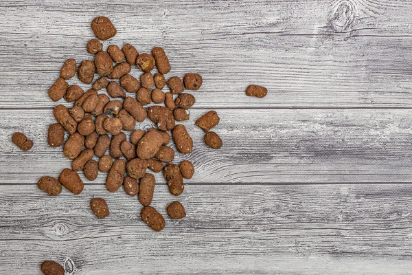 Gri ahşap arka plandaki bitkiler için genişletilmiş kil