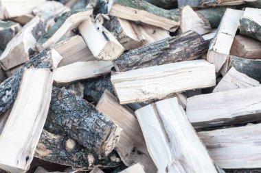 Ateş için bir yığın kuru odun.