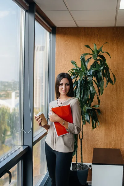 Mujer Negocios Está Pie Oficina Cerca Ventana Está Estudiando Documentos — Foto de Stock