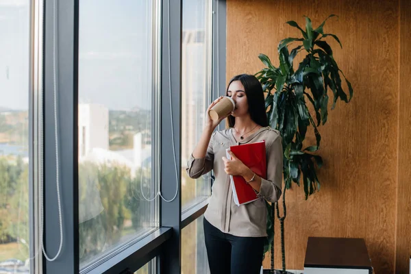 Kadını Pencerenin Yanındaki Ofiste Duruyor Belgeleri Inceliyor Finans Avukat — Stok fotoğraf