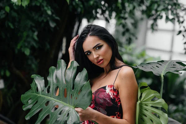 Una Joven Hermosa Morena Posando Entre Densos Matorrales Selva Selva — Foto de Stock