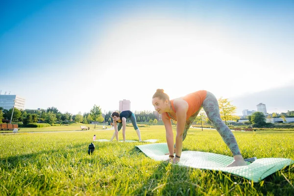 Junge Mädchen Machen Yoga Freien Park Bei Sonnenuntergang Gesunder Lebensstil — Stockfoto