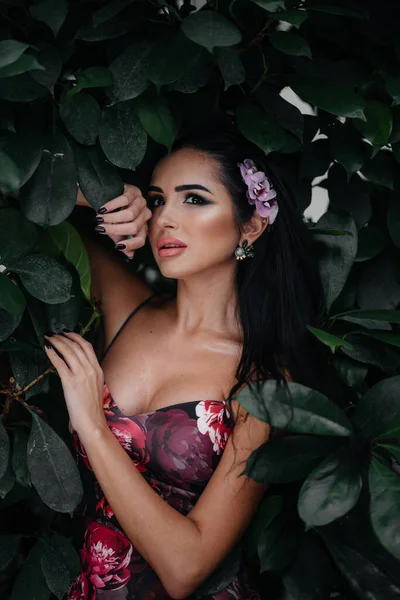 Uma Jovem Bela Morena Posando Entre Densas Moitas Selva Floresta — Fotografia de Stock