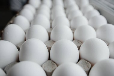 Karton bir form üzerine yakın plan beyaz yumurta tepsisi. Tarım endüstrisi
