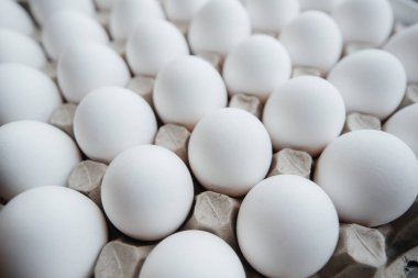 Karton bir form üzerine yakın plan beyaz yumurta tepsisi. Tarım endüstrisi