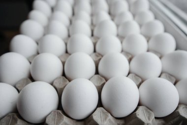 Karton bir form üzerine yakın plan beyaz yumurta tepsisi. Tarım endüstrisi