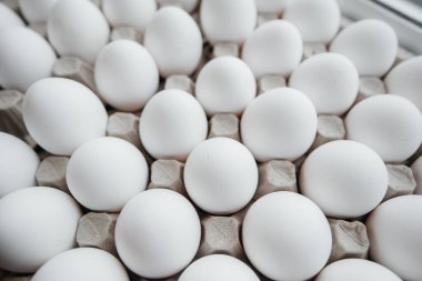 Karton bir form üzerine yakın plan beyaz yumurta tepsisi. Tarım endüstrisi