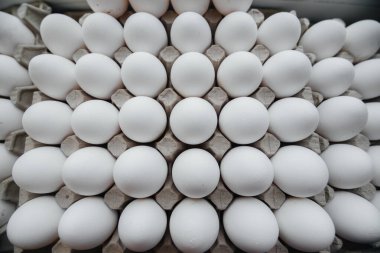 Karton bir form üzerine yakın plan beyaz yumurta tepsisi. Tarım endüstrisi
