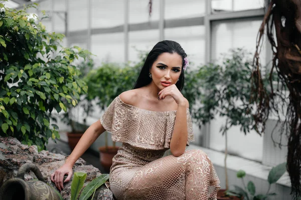 Uma Jovem Bela Morena Posando Entre Densas Moitas Selva Floresta — Fotografia de Stock