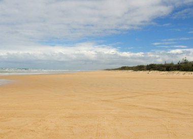 The Broad Highway At 75 Mile Beach On Fraser Island Queensland Australia
