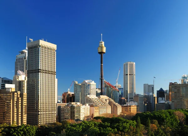 Vista Olho Pássaro Para Hyde Park Skytower Sydney Nsw Austrália — Fotografia de Stock