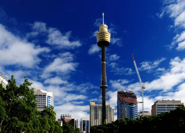 Skytower Cintilante Dourado Sol Sydney Nsw Austrália — Fotografia de Stock