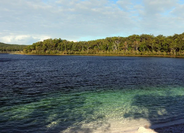 Crystal Clear Rain Water Lake Mckenzie Fraser Island Queensland Australia — Stock Photo, Image