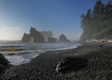 Ruby Beach Olimpiyat Parkı 'ndaki Saman Yığını Washington