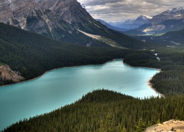 Parkway Banff Milli Parkı 'ndaki buzul tarlalarındaki nefes kesici Peyto Gölü Kuşbakışı