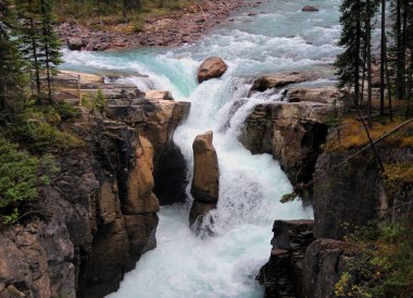 Buzullardaki Sunwapta Şelalesine bakın. Parkway Jasper Ulusal Parkı.