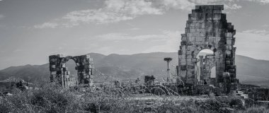 Volubilis, Unesco Dünya Mirası Meknes ve Fez, Fas Roma Bazilikası kalıntıları