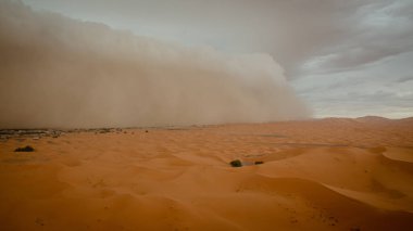 Erg Chebbi Çölü Fas, Afrika 'da Merzouga yerleşim bölgesine yaklaşan kum fırtınası 