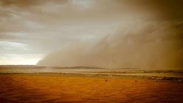 Erg Chebbi Çölü Fas, Afrika 'da Merzouga yerleşim bölgesine yaklaşan kum fırtınası 