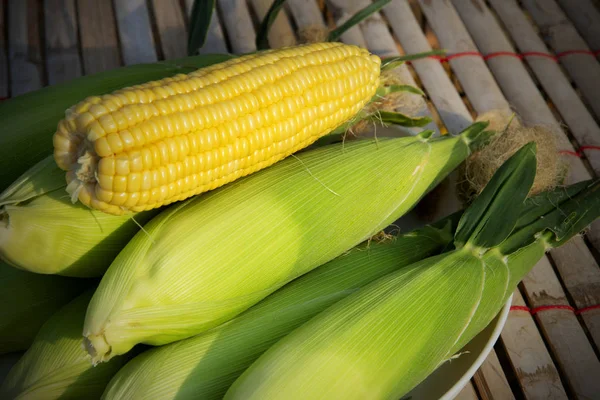 Organik tarım çiftliklerinden üretilen tatlı mısır — Stok fotoğraf