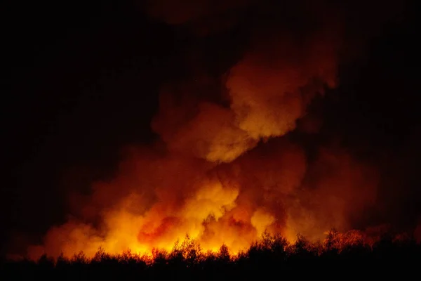 Big Smoke Burning Sugarcane Fields Night Cause Pollution Environment Impact — Stock Photo, Image