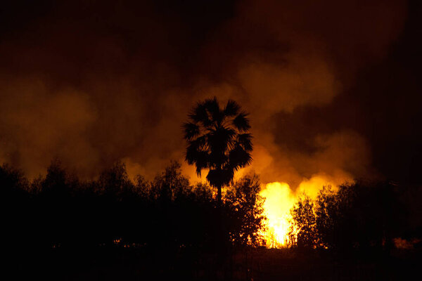 People burning sugarcane fields at night cause of pollution and environment impact.