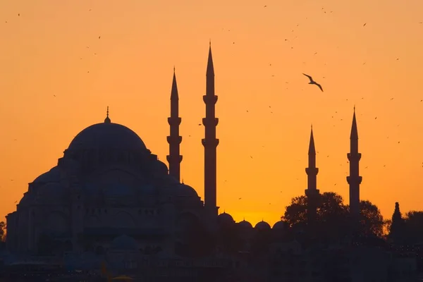 Hagia Sophia Attraction Touristique Importante Istanbul Turquie Silhouette Contre Ciel — Photo