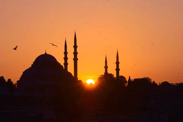 Hagia Sophia Attraction Touristique Importante Istanbul Turquie Silhouette Contre Ciel — Photo