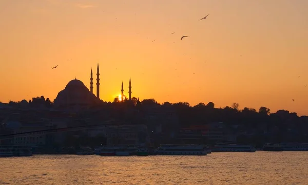 Hagia Sophia Importante Attraction Touristique Istanbul Turquie Silhouette Contre Ciel — Photo