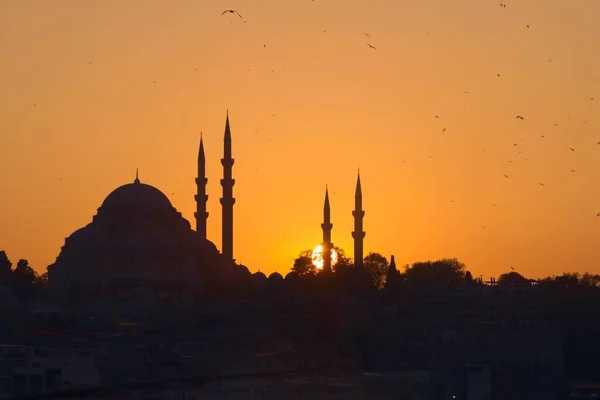 Hagia Sophia Attraction Touristique Importante Istanbul Turquie Silhouette Contre Ciel — Photo