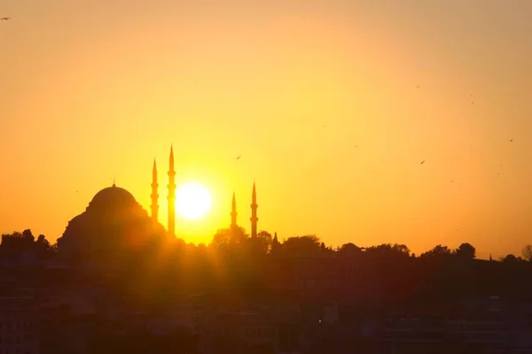 Hagia Sophia Attraction Touristique Importante Istanbul Turquie Silhouette Contre Ciel — Photo