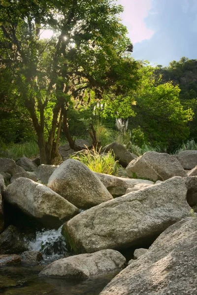 Rocky Mountain Creek Κοντά Στο Potrero Los Funes San Luis — Φωτογραφία Αρχείου