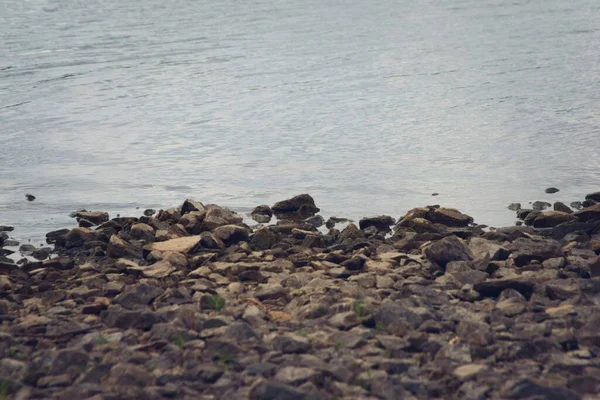 Orilla Rocosa Áspera Del Lago Florida San Luis Argentina Día — Foto de Stock