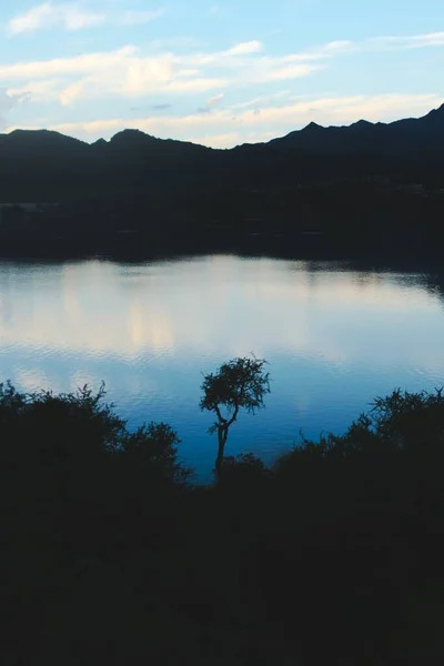 在阿根廷圣路易斯Potrero Los Funes湖上的暮色的天空映衬下 一棵孤零零的刺树映衬着它的轮廓 — 图库照片