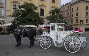 Beyaz bir araba ve koşumlu siyah atlar Krakow 'un merkezinde turistleri bekliyor. Polonya. Avrupa.