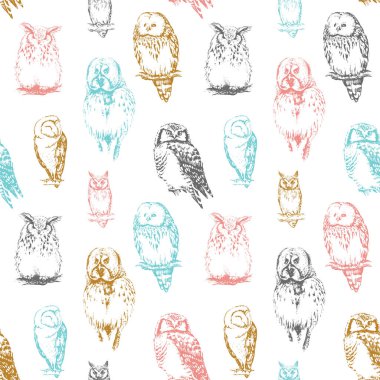 farklı baykuşlar koleksiyonu.